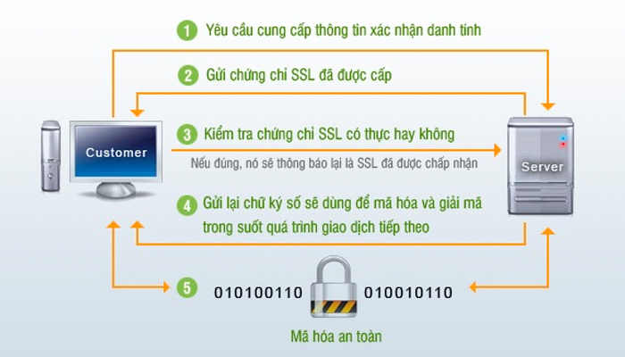 Cách hoạt động của SSL ra sao?