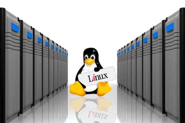 Hosting Linux là gì