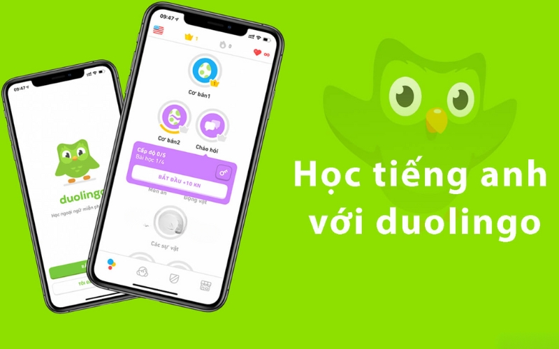 Web học tiếng anh Duolingo